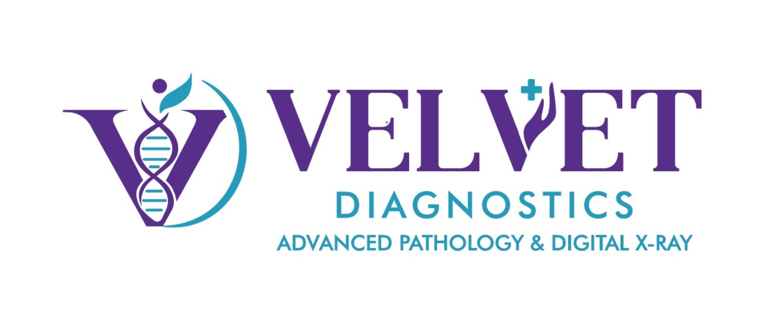 Velvet Diagnostics logo